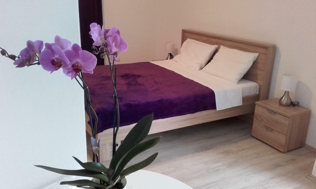 Apartment Tip Top Ρόβινι Εξωτερικό φωτογραφία